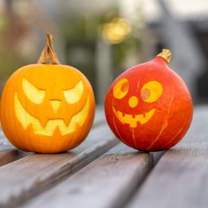 "Halloween Workshop – Kürbisse Lasern " – Workshop vor Ort im ViNN:Lab