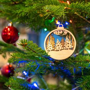 "Weihnachtsgeschenke aus dem Makerspace" – Workshop vor Ort im ViNN:Lab