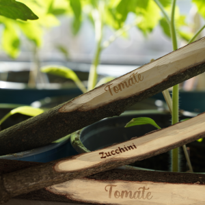 "DIY Beetbeschriftung – Lasergravur für deine Beete" – Workshop vor Ort im ViNN:Lab