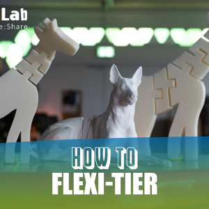 "How to: Bewegliche 3D-Drucke" – Online-Workshop